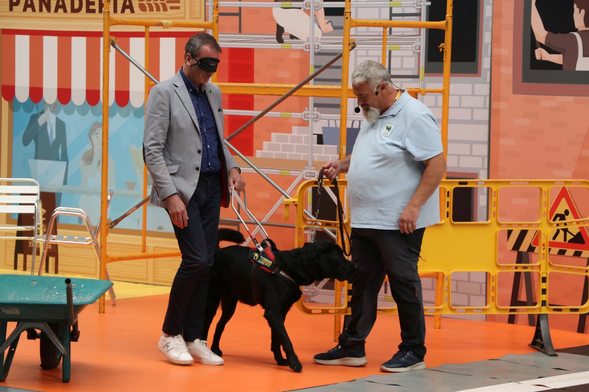 Así se adiestran y trabajan los perros guía