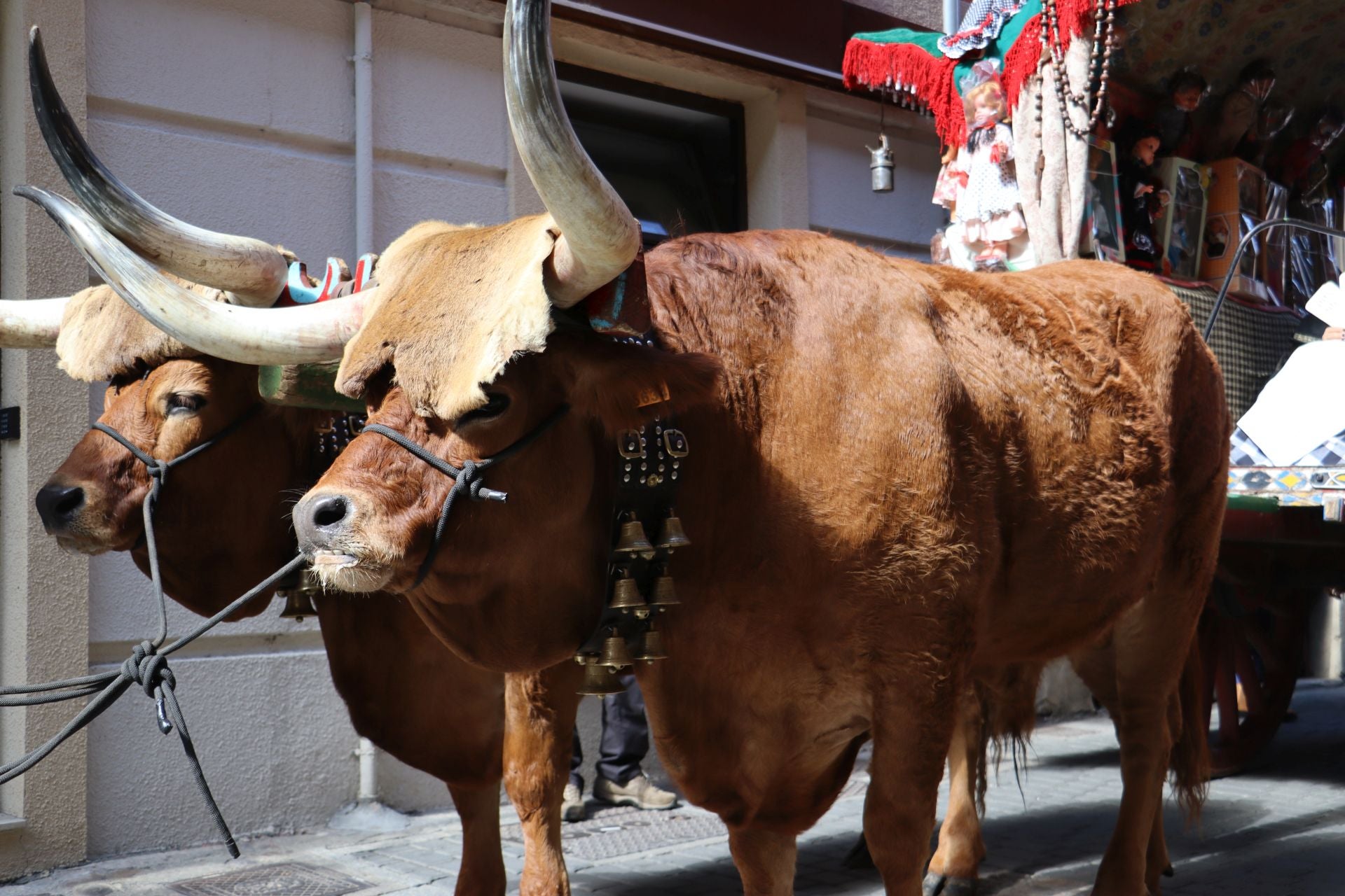Las mejores imágenes del desfile de carros engalanados