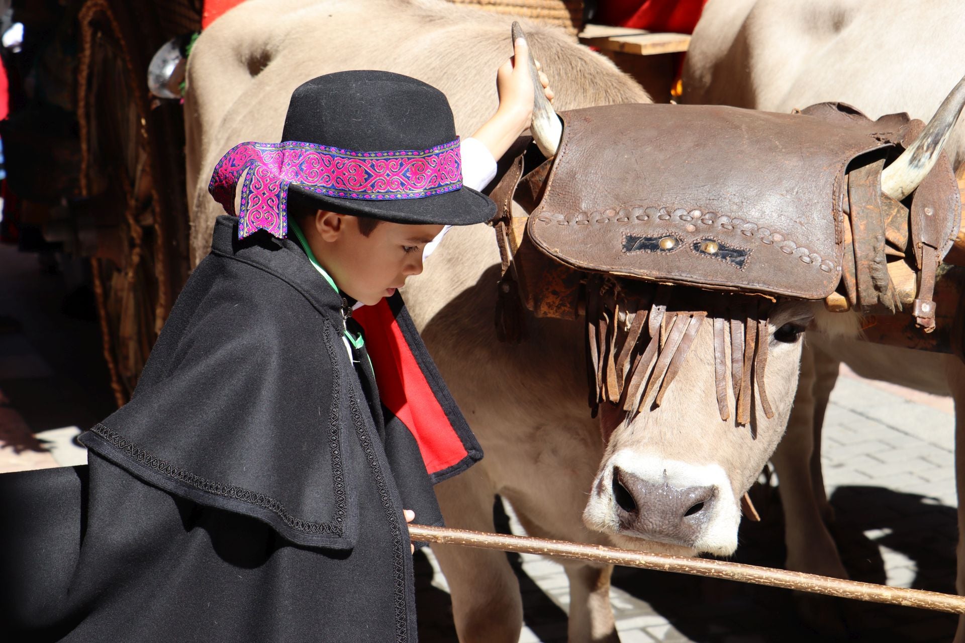 Las mejores imágenes del desfile de carros engalanados