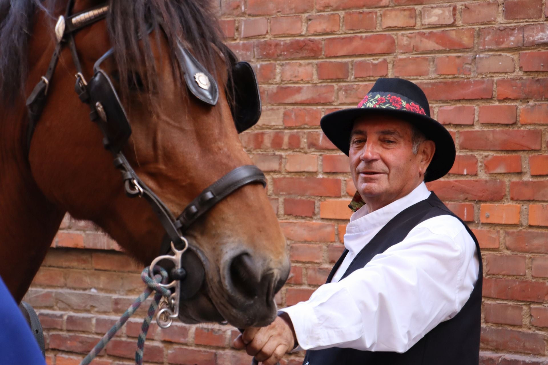 Las mejores imágenes del desfile de carros engalanados