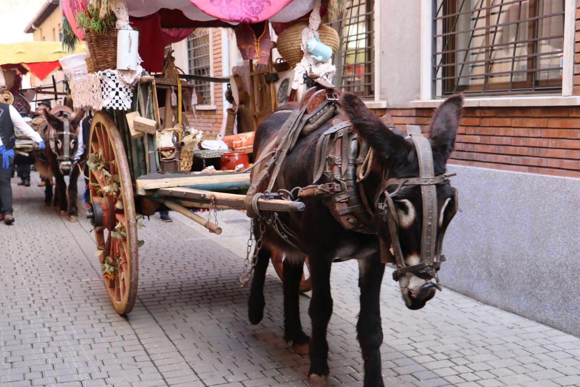 Las mejores imágenes del desfile de carros engalanados