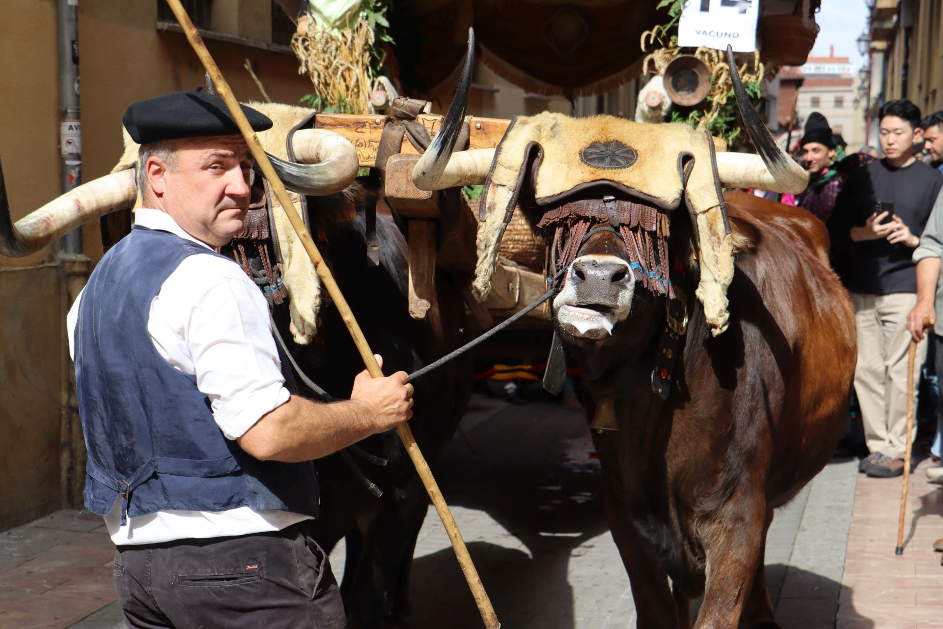 Las mejores imágenes del desfile de carros engalanados
