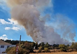 Imagen del incendio en Riello.