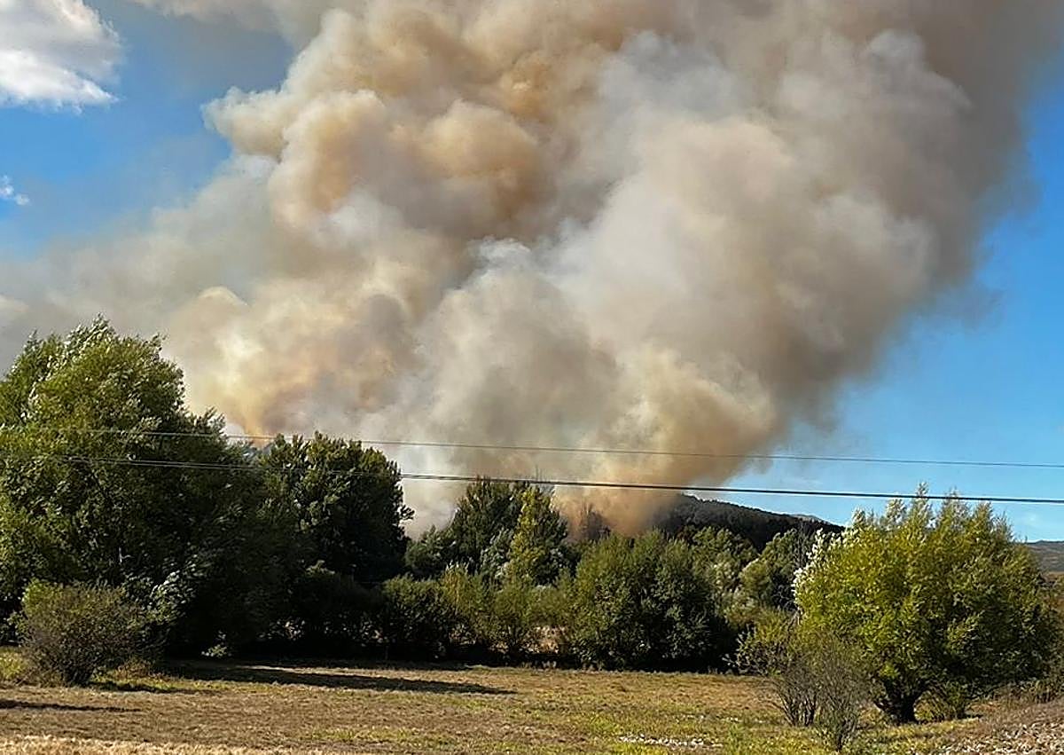 Imagen secundaria 1 - Imágenes del incendio en Riello.