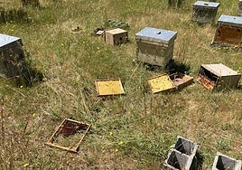 Ataque a una colmena.