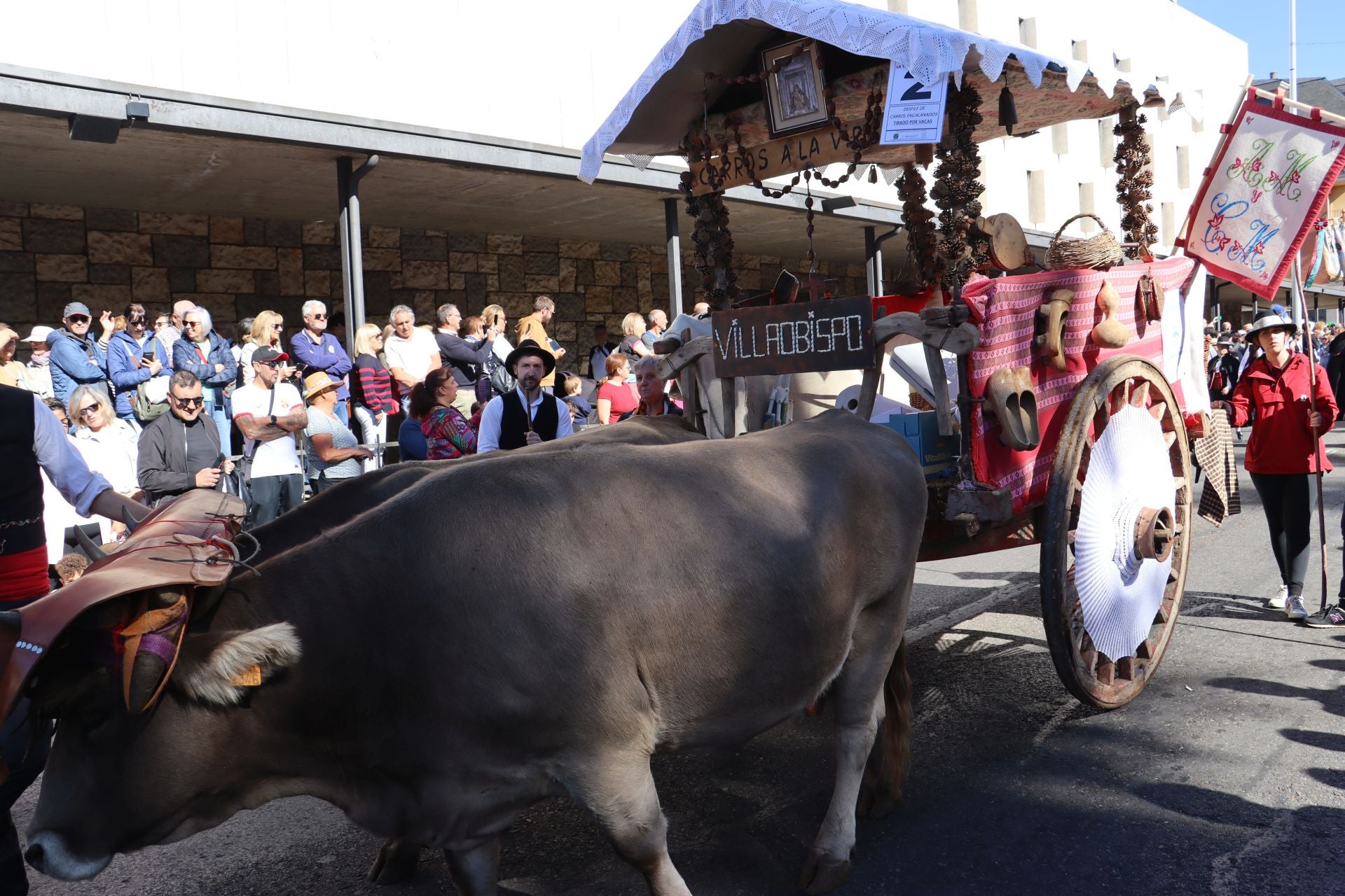 Carros y ganado se visten de fiesta en San Froilán