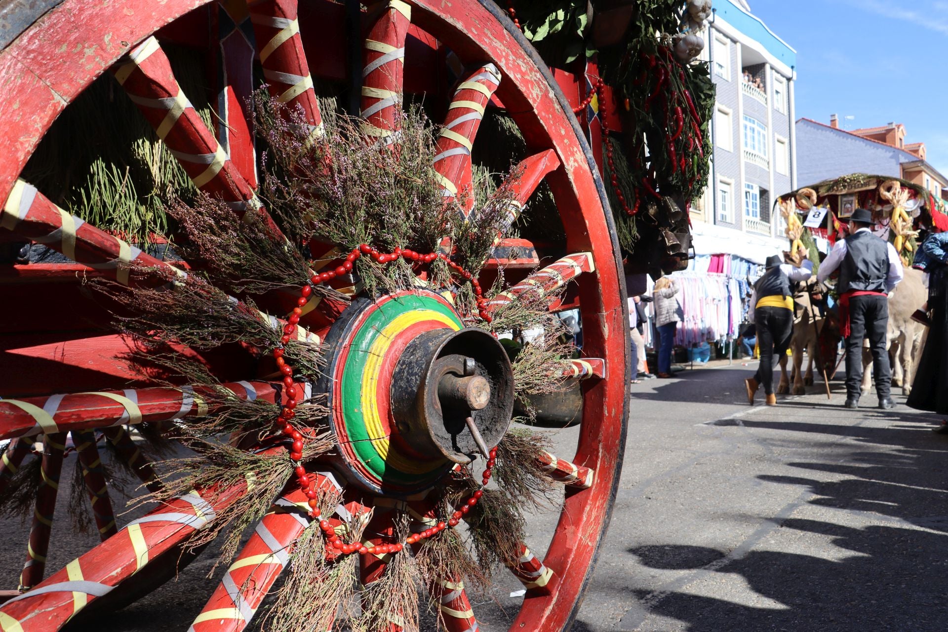Carros y ganado se visten de fiesta en San Froilán