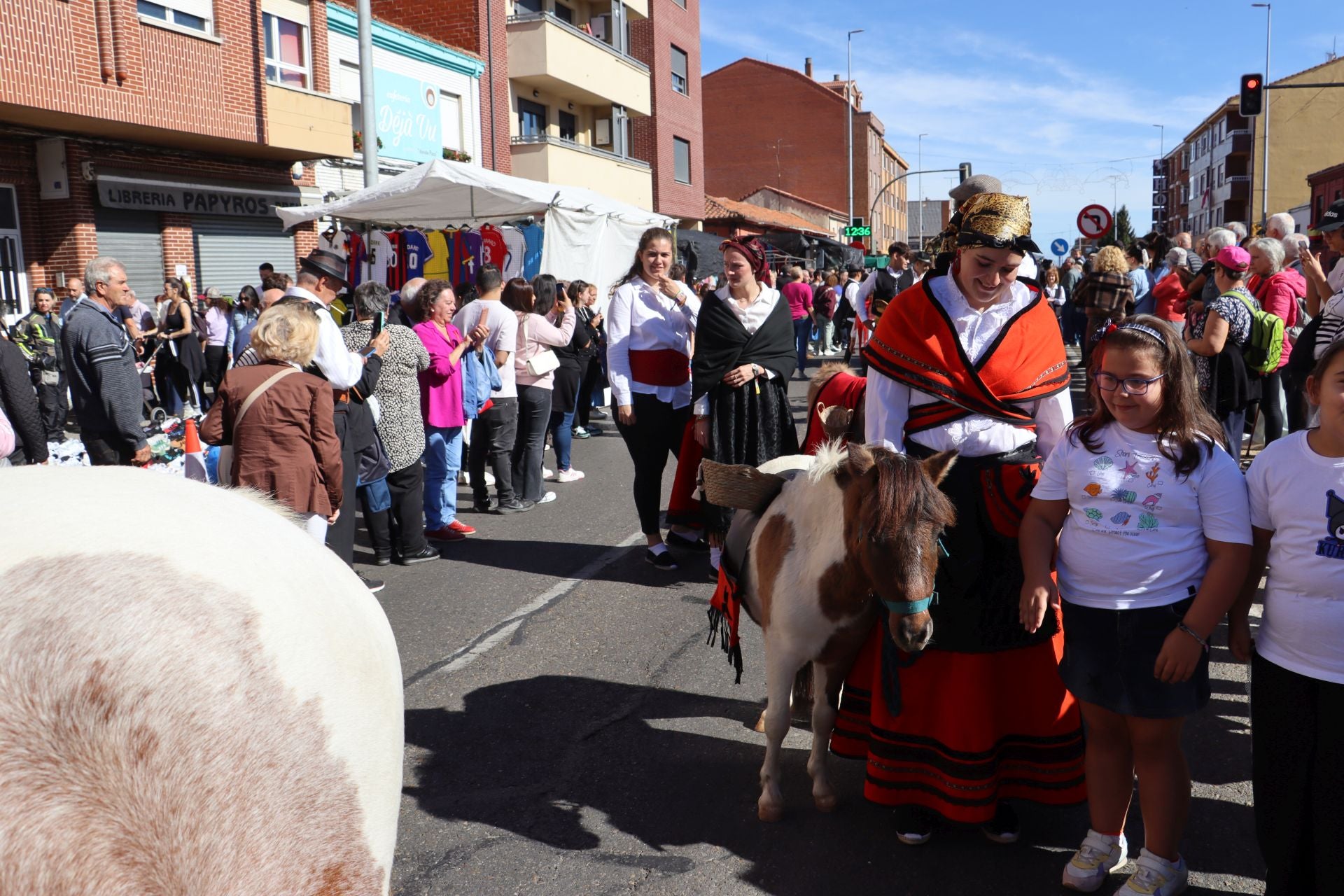 Carros y ganado se visten de fiesta en San Froilán
