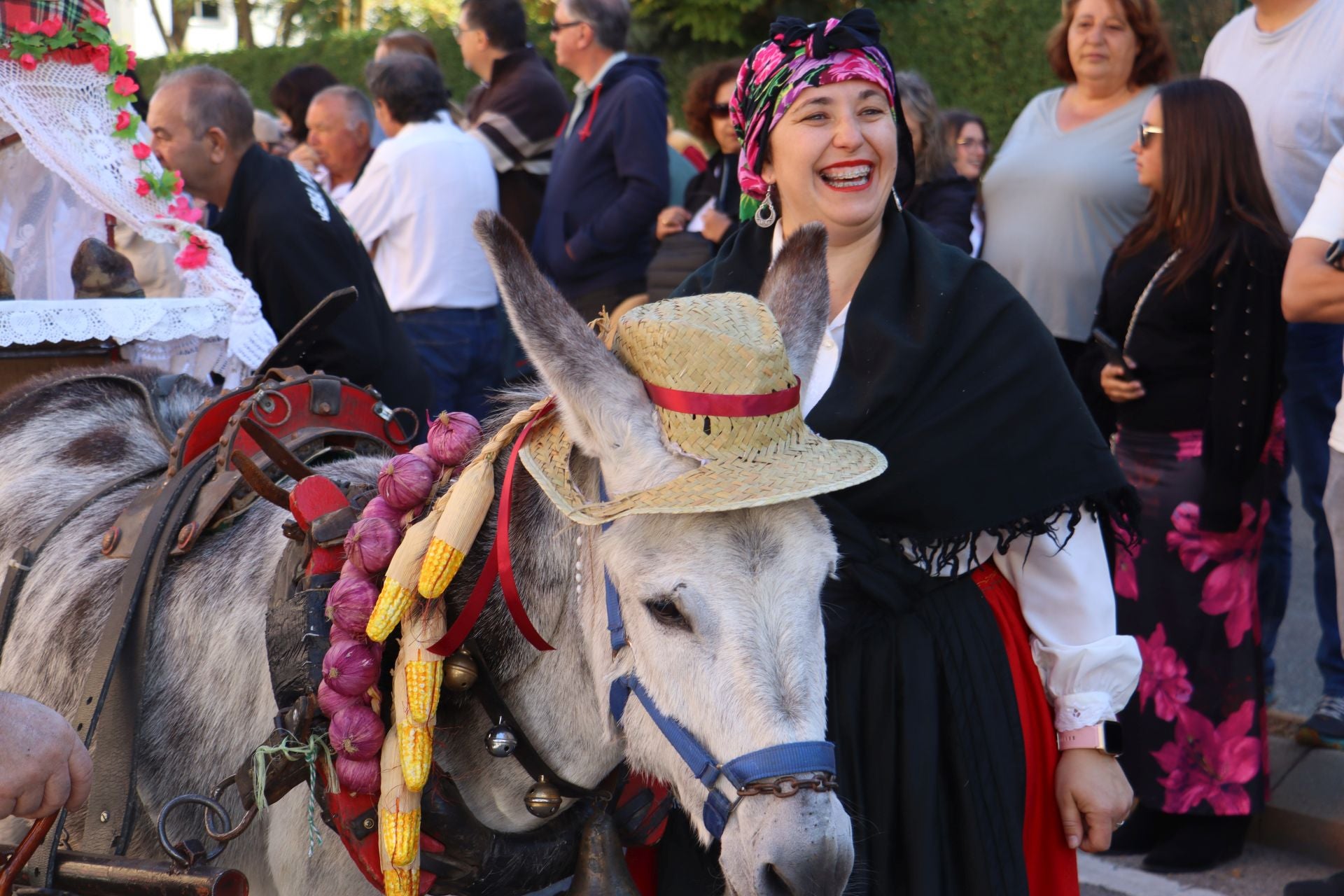Carros y ganado se visten de fiesta en San Froilán