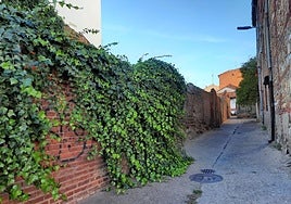 Calle de Tres Mitras.