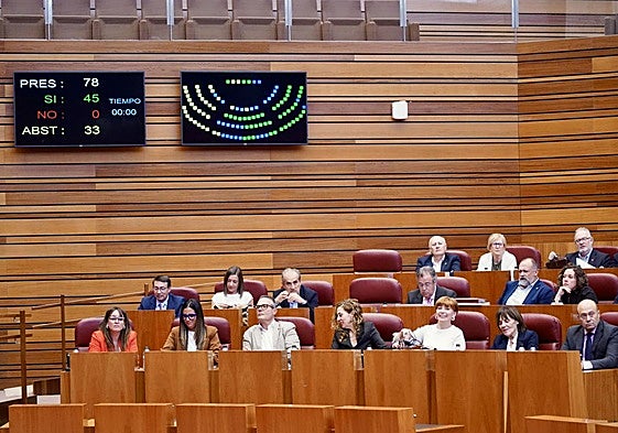 Pleno en las Cortes.