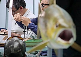 León, capital de la trucha.