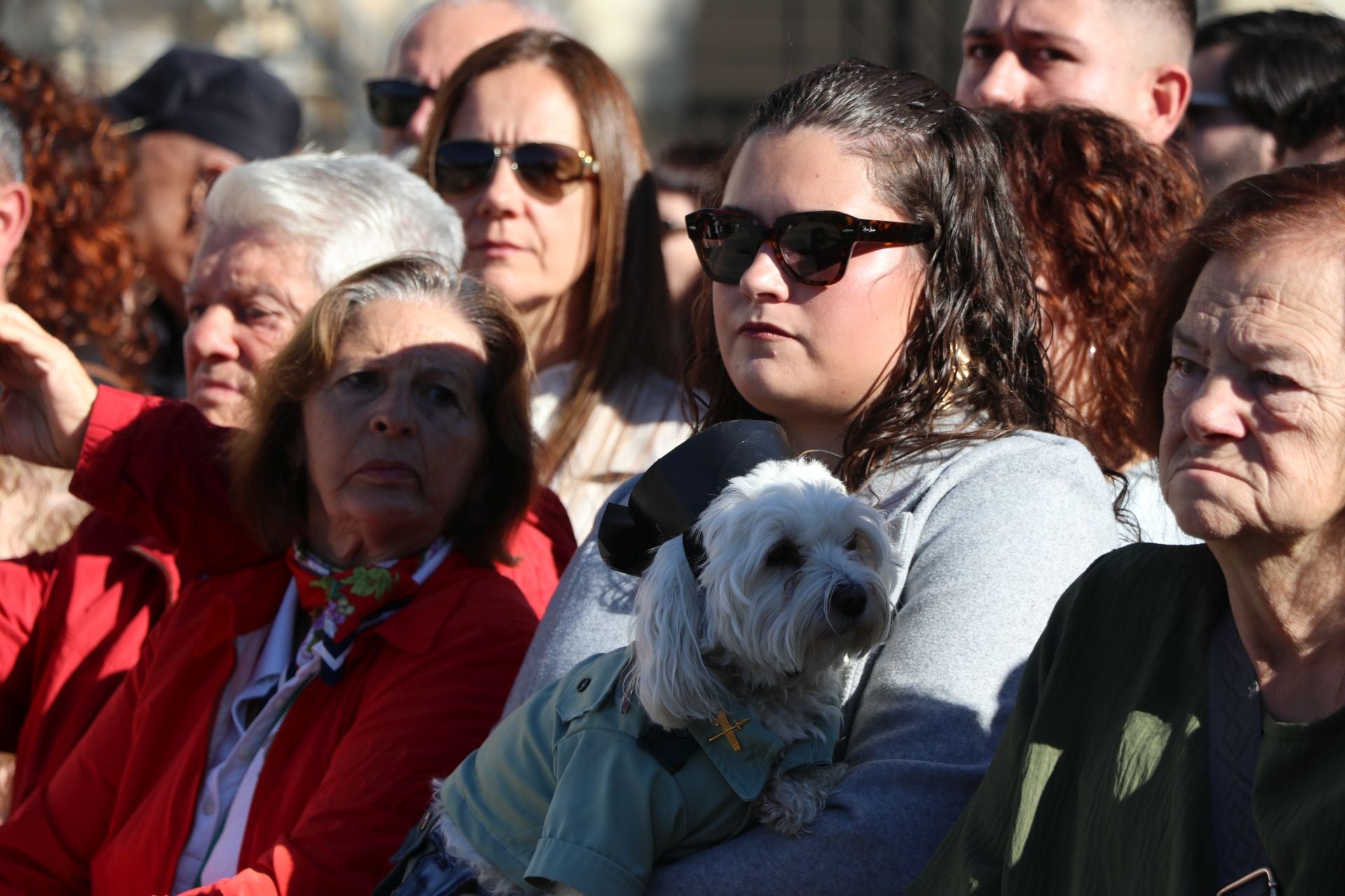 Todas las imágenes del desfile y el acto por el Día del Pilar en León