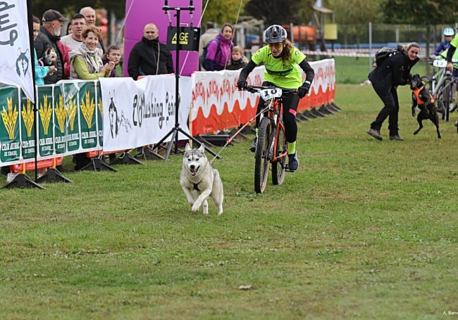 Modalidad de bikejoring