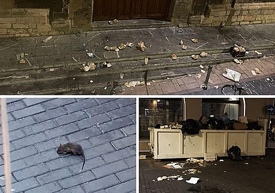 Suciedad en las calles y una rata en la calle Plata.