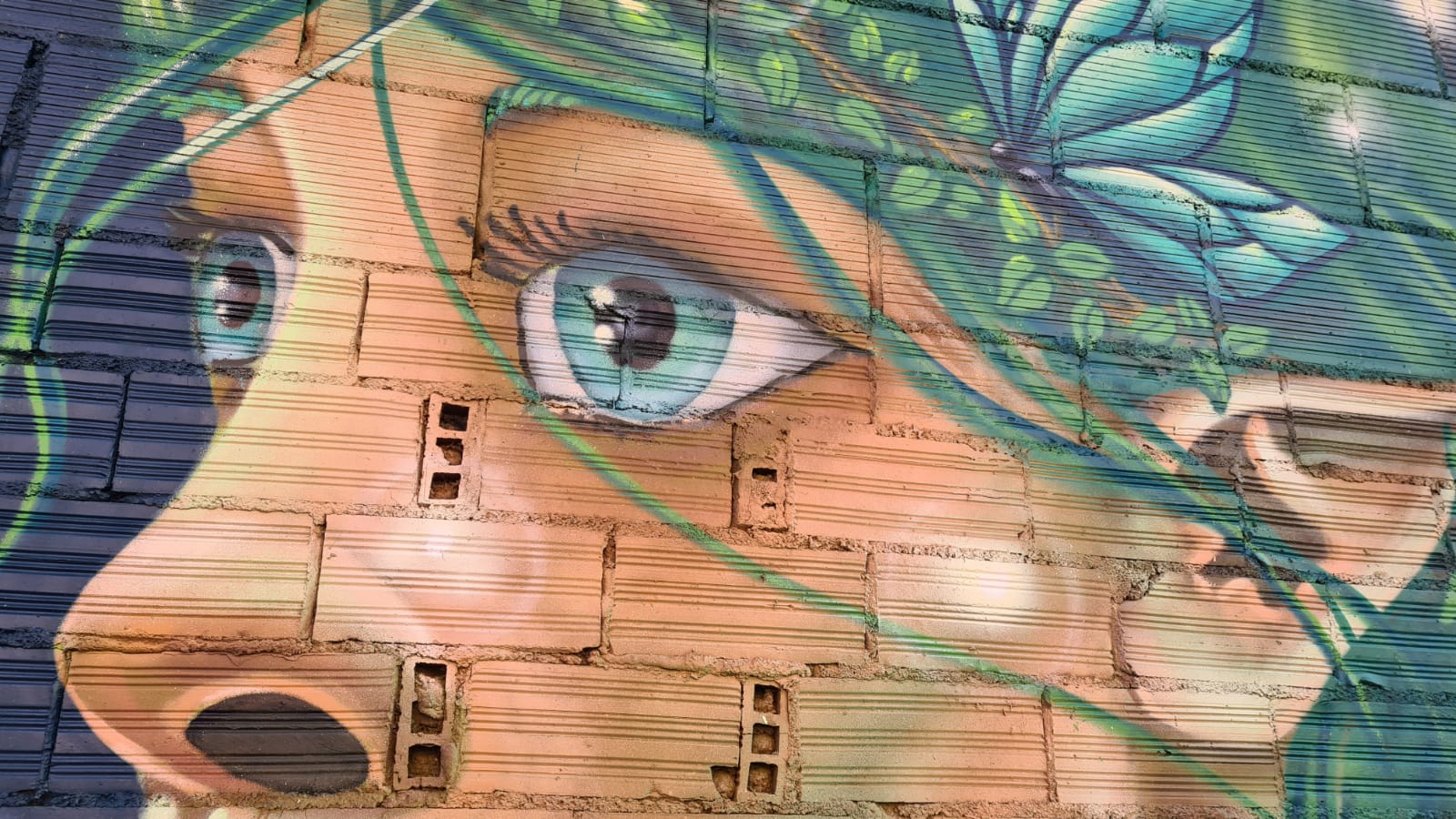 Los murales de la calle Doña Urraca