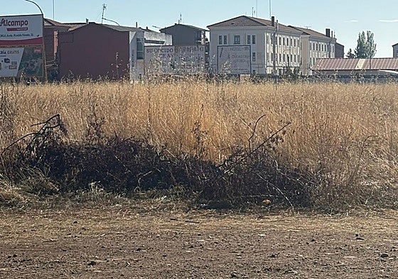 Área del paseo de Peñicas en Astorga.