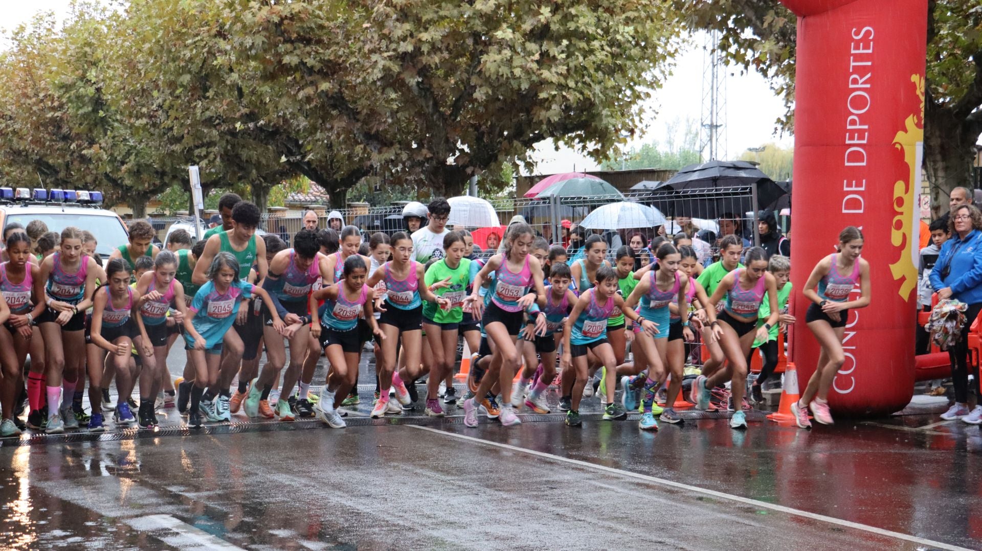 Todas las imágenes.