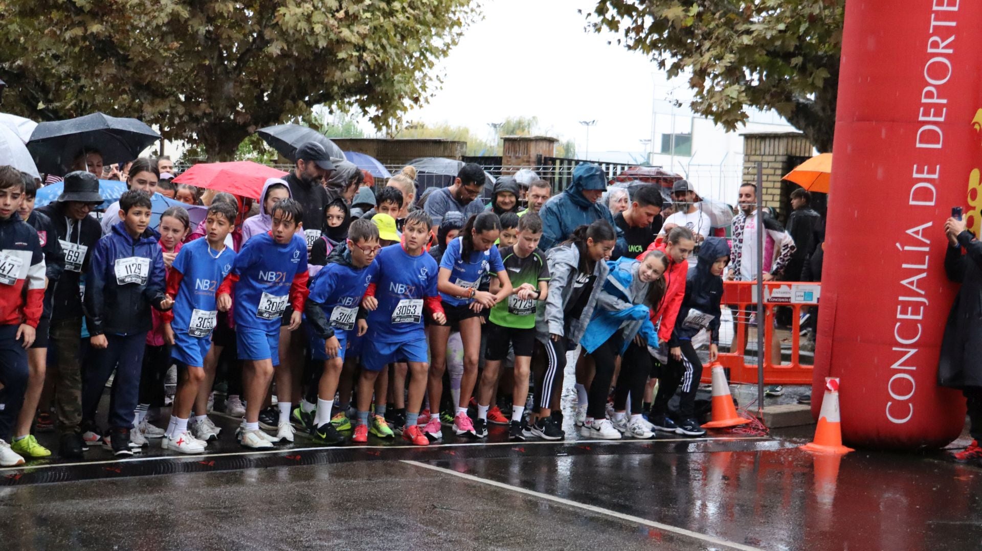 Todas las imágenes de la carrera popular.