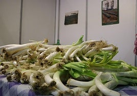 Puerros en la Feria de San Simón