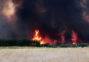 El Consejo de Ministros aprueba ayudas en 42 municipios de León por los incendios