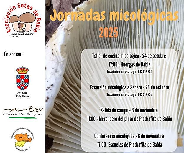Cartel de las Jornadas micológicas