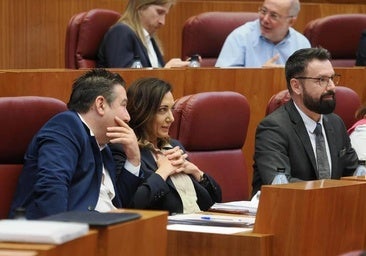 UPL denuncia un «ataque directo muy grave» del PP a la autonomía municipal en las Cortes