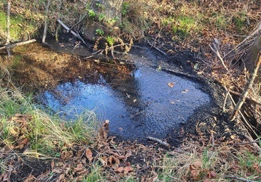 Los acuíferos de las zonas afectadas por los incendios de León están «contaminados»