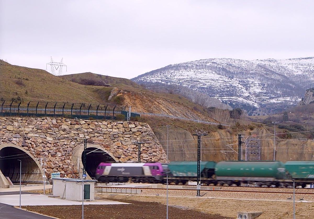 Un mercancías entrando al túnel de la variante.