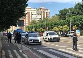 Imagen de Fernández ladreda, uno de los lugares con más atropellos.