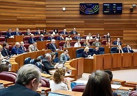 Pleno de las Cortes de Castilla y León.