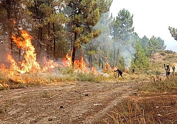UGT SP califica como «mero maquillaje» el anuncio de un operativo antiincendios porque «faltan recursos»