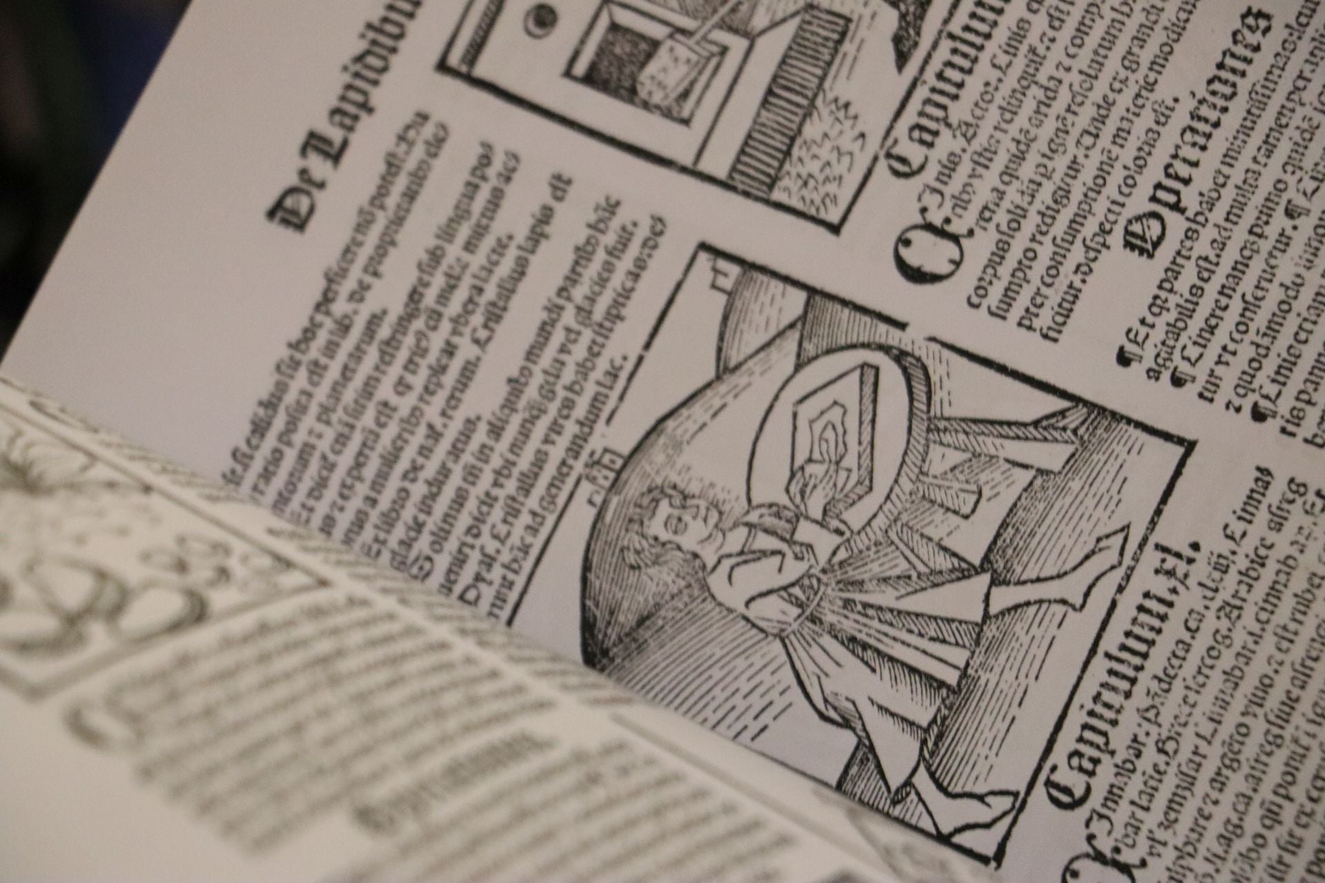 Las imágenes del incunable sobre remedios de San Isidoro