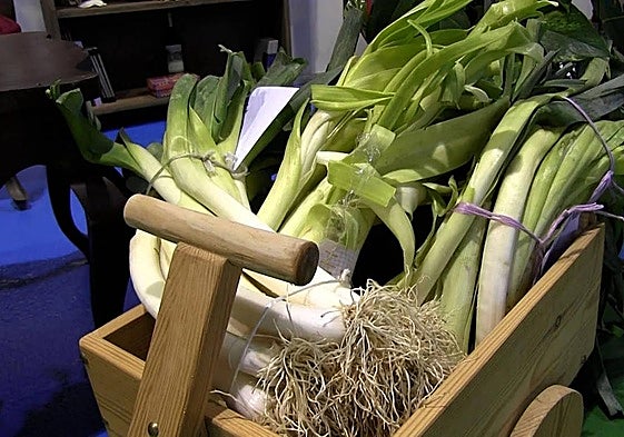 Manojo de puerros de Sahagún.