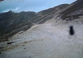 Precipitaciones en forma de nieve en San Isidro.