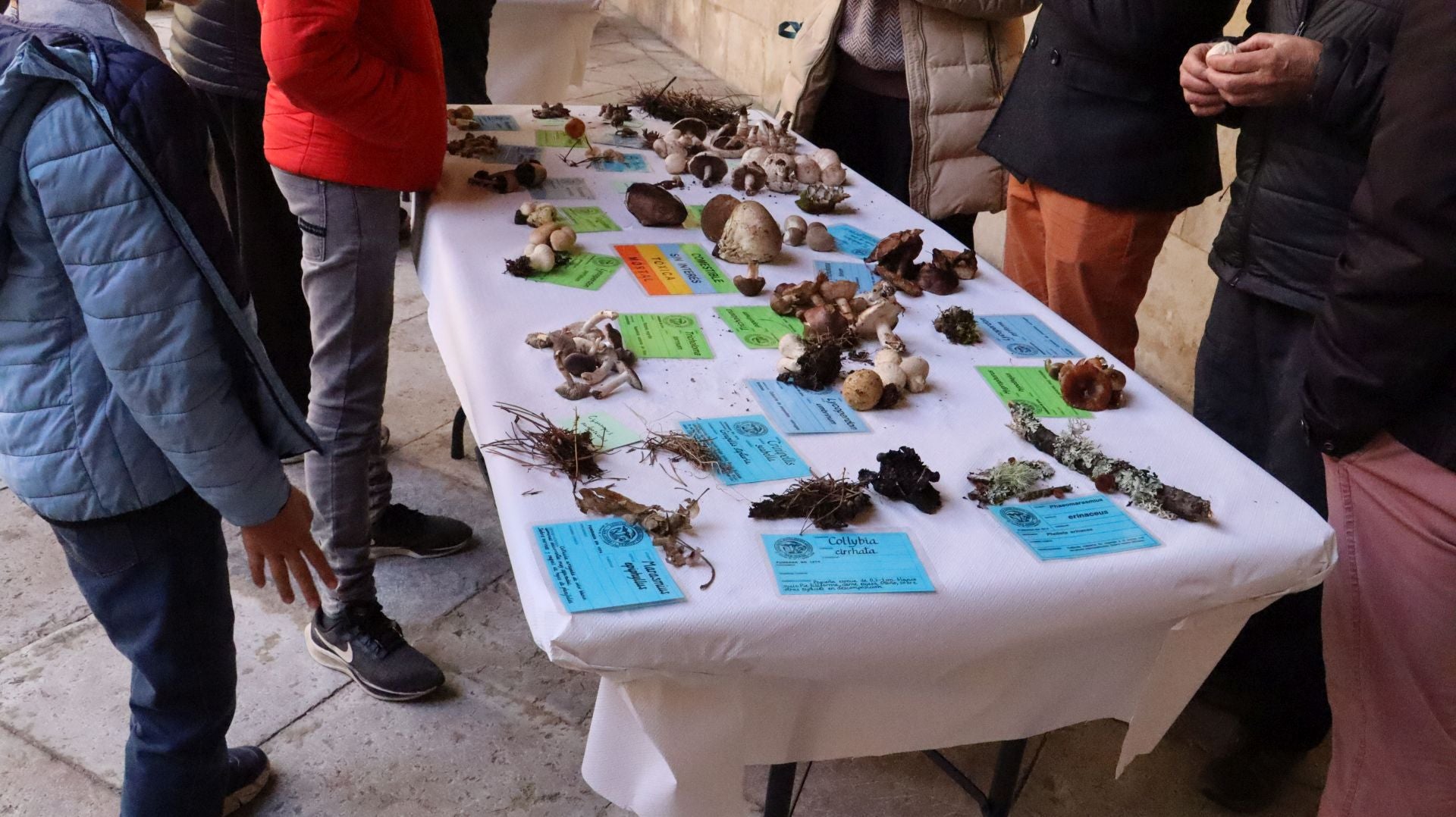 Imágenes de la Exposición Micológica de León