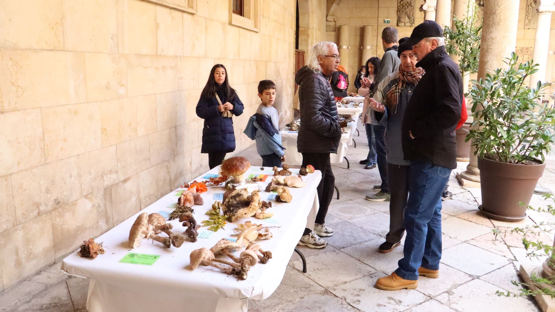 Imágenes de la Exposición Micológica de León