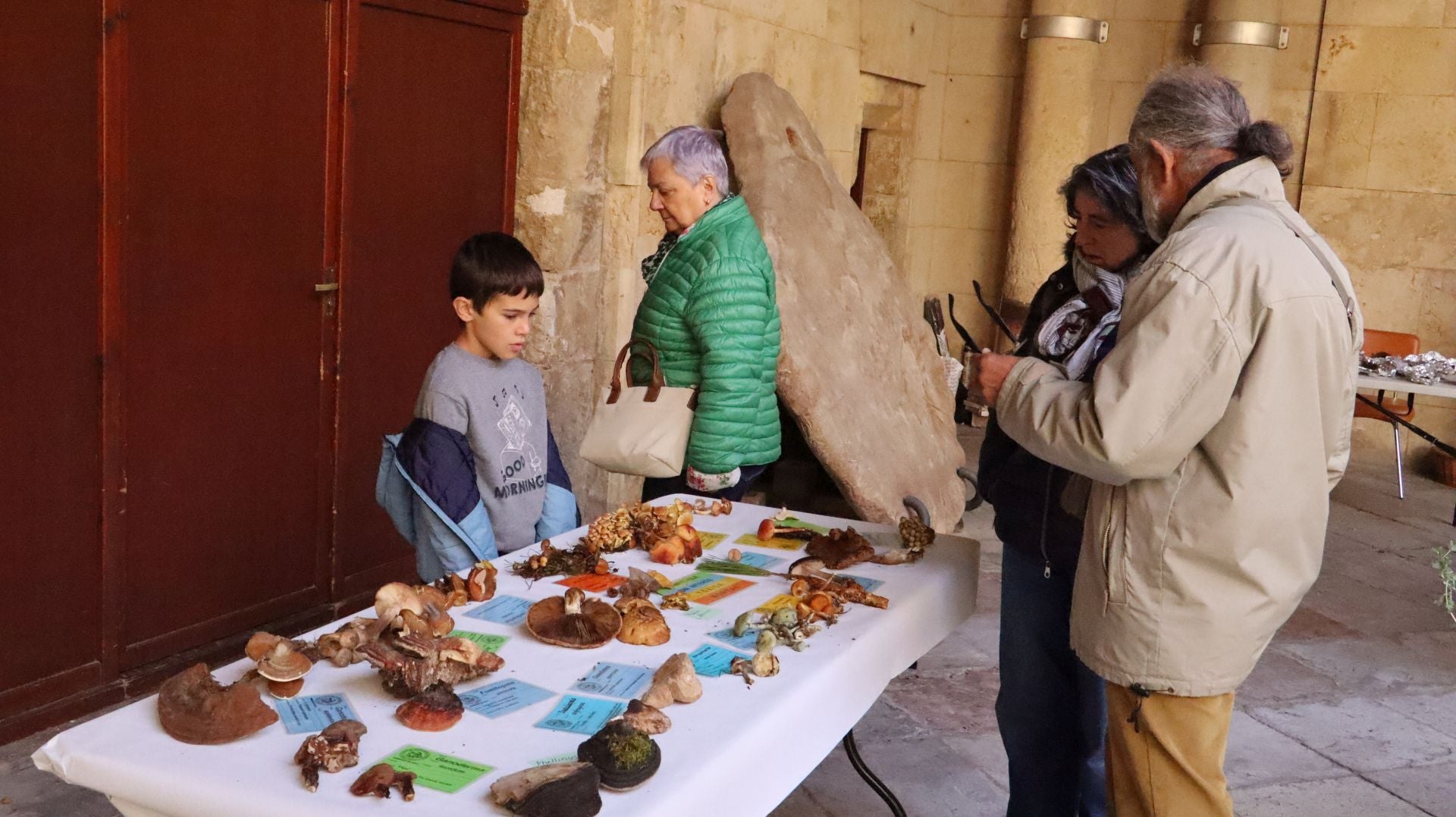 Imágenes de la Exposición Micológica de León