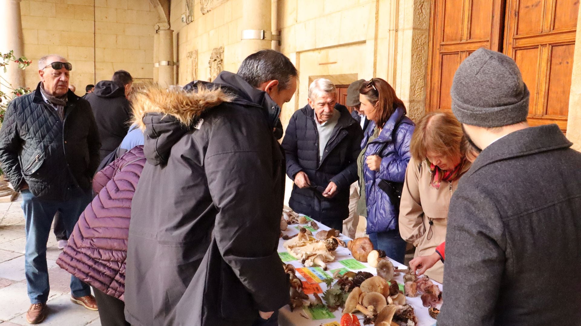 Imágenes de la Exposición Micológica de León