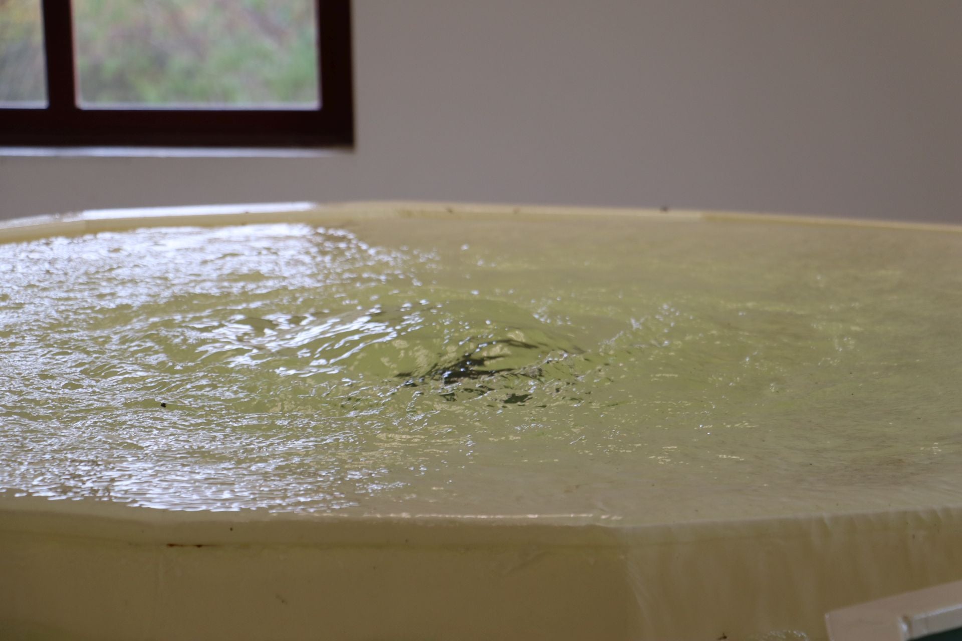 Las imágenes del &#039;nacimiento&#039; del Canal del Páramo Bajo en León