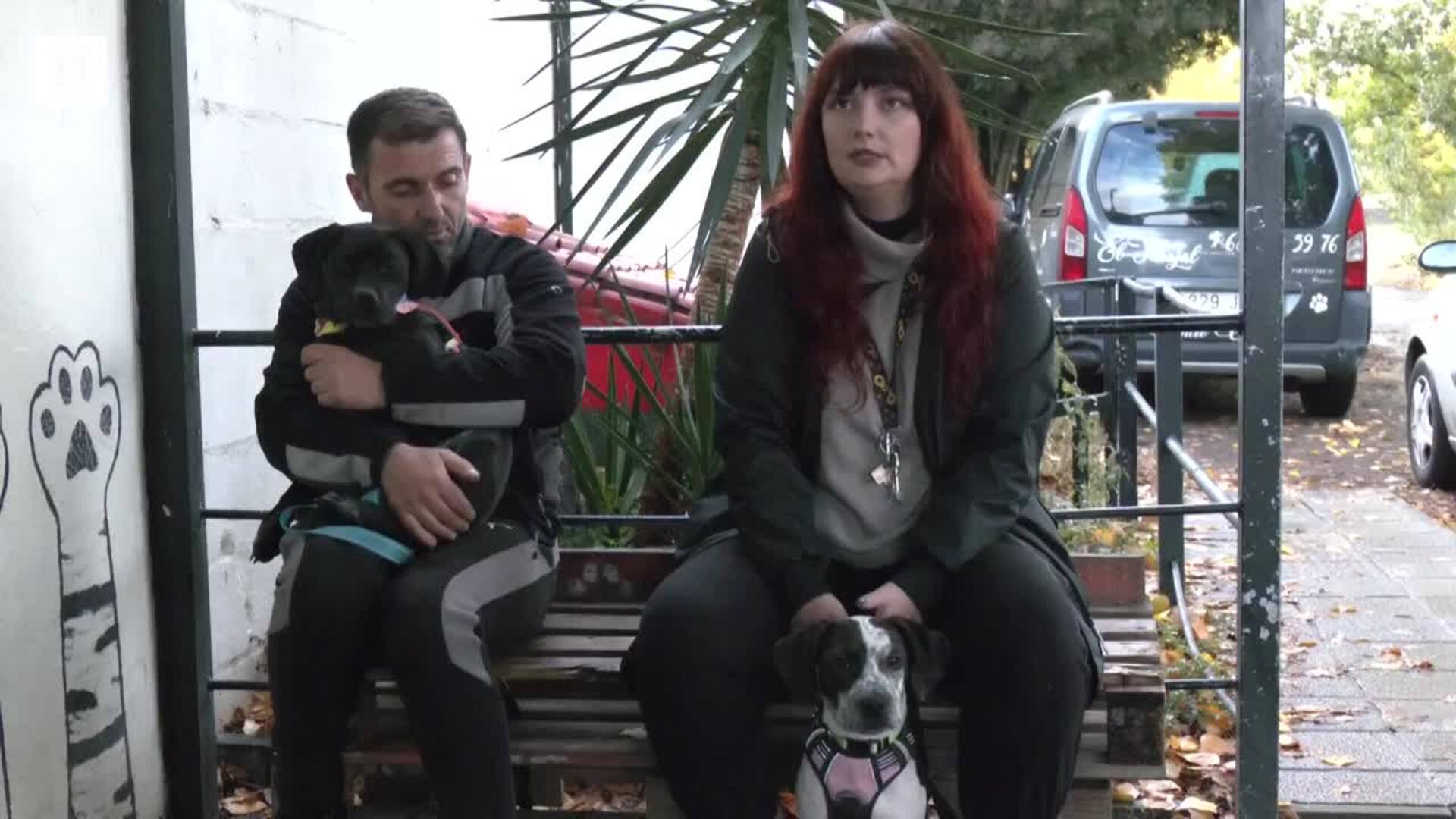 La protectora de León busca hogar para Kosa