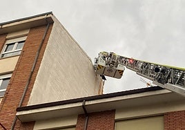 Imagen del rescate del gato por Bomberos de León.