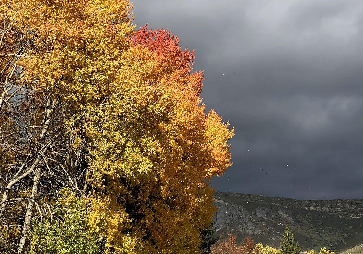 Las nubes lo cubrirán todo en León.