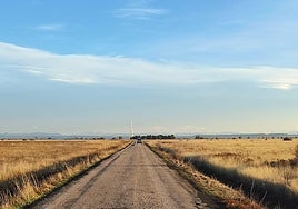 Imagen de la carretera actualmente.