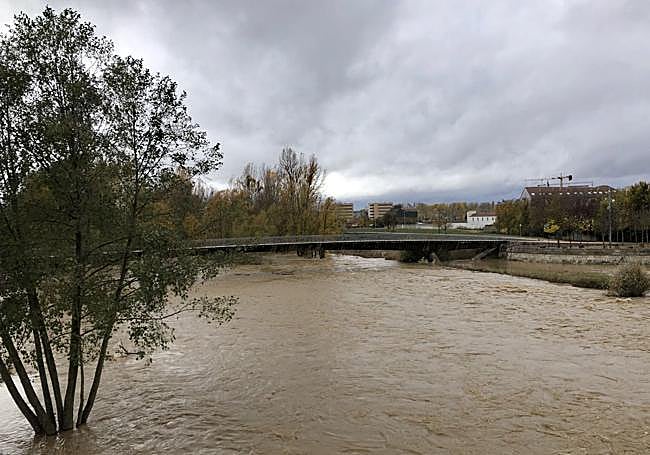 Imagen del río Bernesga a su paso por Puente Castro.