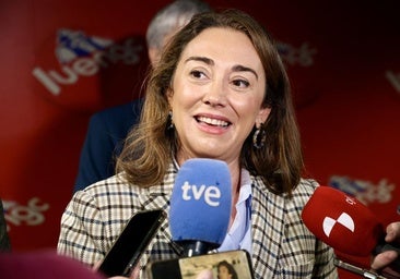 La Junta afirma que Castilla y León «no registra ningún nuevo foco de gripe aviar» desde hace un mes