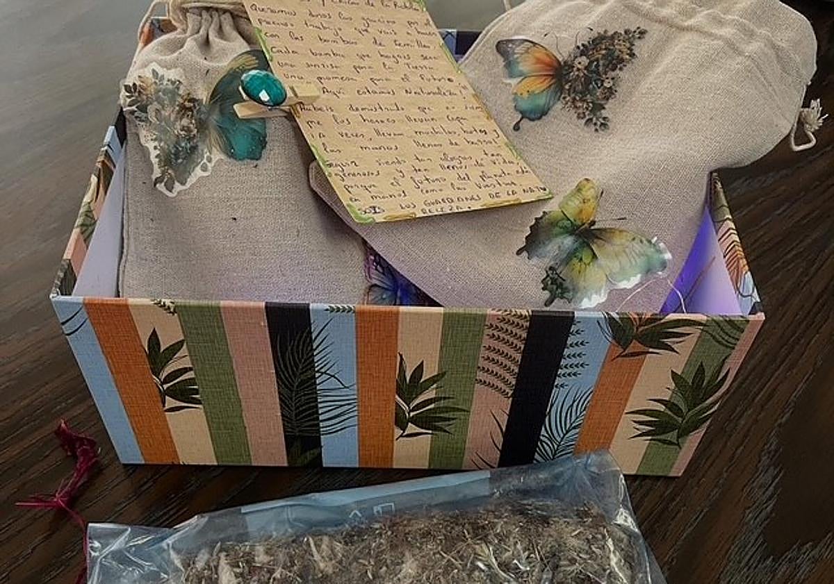 Imagen principal - El innovador proyecto de un colegio para reforestar León tras incendios