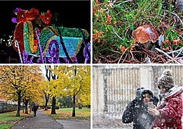 Las imágenes del día.