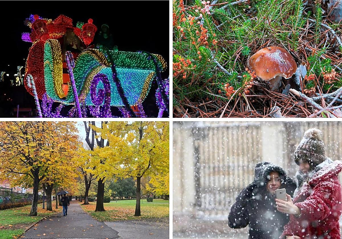 Las imágenes del día.