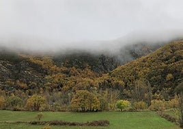 Jornada con niebla en la provincia.